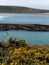 Dense coastal bushes. View of Clonakilty Bay. Sea rocks. A picturesque place in Europe, rock near body of water. The nature of