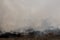 Dense dust and smoke from burning stubble in post-harvest agricultural areas