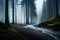 A dense, fog-covered forest with towering pines and mist-shrouded branches, evoking a sense of mystery and enchantment