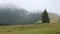 Dense fog over mountain meadow and forest