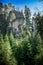 Dense Forest and Tall Rocks at Adrpach Teplice Rock Formation