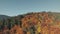 Dense forest trees of different colour on pictorial hilltop