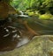 Dense Forest Waterfall