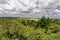 Dense green forestland under a thick cloud cover