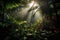 dense jungle foliage with sunbeams filtering through