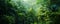 Dense jungle, wild forest with trees and tropical plants, green wilderness, panoramic, generative ai