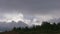 Dense rain clouds behind trees