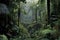 dense rainforest with rare exotic plants