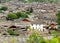 Dense tile houses in lijiang ancient town