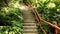 Dense tropical rain forest walkway with stairs and wooden bamboo handrails
