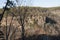 Densely forested mountain slope under a clear sky in Arkansas, United States