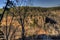 Densely forested mountain slope under a clear sky in Arkansas, United States