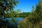 Densely overgrown with grass and trees shore of the lake