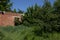 Densely overgrown with trees abandoned construction on a clear sunny day