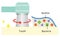 Dental biofilm removal illustration. dental health and oral care concept