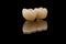 Dental bridge of 2 molar teeth. Close-up photo of metal free ceramic teeth crown isolated on black glass background