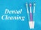 Dental cleaning text with toothbrushes