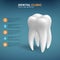 Dental clinic infographic with molar tooth icon