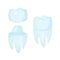 Dental crowns and implantation