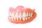 Dental dentures on white background