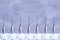 Dental drill attachment set on gray background