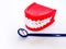 Dental health check tool kit and toothbrush with dentures dental hygiene concept