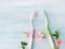 Dental hygiene concept. Toothbrushes, flowers, mint