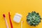Dental hygiene - tooth brushes, dental floss, mouthwash flat lay, top view, copy space, yellow background