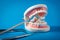 dental hygiene and treatment - tooth model and dentist tools