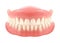 Dental jaw or dentures, false teeth with incisors