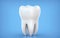 Dental model of premolar tooth, 3d rendering on blue backgroun. 3d illustration as a concept of dental examination teeth