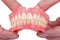 Dental prosthesis