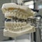 Dental Prosthesis Machinery