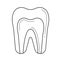 Dental pulp line icon.