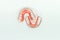Dental retainer on white background