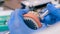 Dental technician working with dental prosthetics - close up view