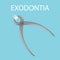 Dental tooth extraction. Exodontia. The tooth in the dental forceps. A white clean tooth is clamped between the forceps.