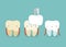 Dental Veneers ,teeth and tooth concept of dental