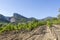 Dentelles de Montmirail chain of mountains and vineyards in wine region Provence in Vaucluse, France