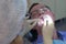 Dentist is applying blue gel on man`s teeth to find dental tartar and caries.