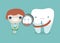 Dentist check up the girl ,teeth and tooth concept of dental