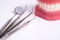 Dentist demonstration teeth model and dentist tool on white back