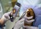 A dentist examines the teeth of a guinea pig using a special tool. An assistant holds a red guinea pig in his hands