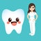Dentist Female And Tooth