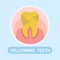 Dentistry, Stomatology Social Media Banner Concept