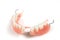 Denture