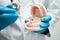 Denture, dentist holding dental teeth model to study and treat in hospital