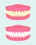 Denture in two health states. Dental implant with different teeth colors. Sick and healthy teeth jaw. Medical items.