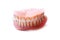 Denture on a white background