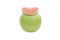 Dentures with green apple